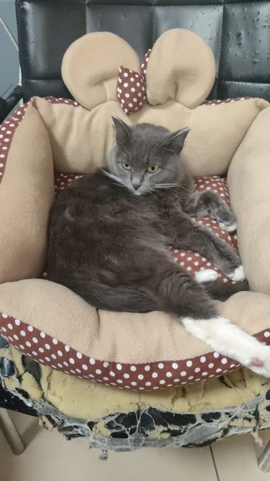 Девочка красотка ищет любящей семью