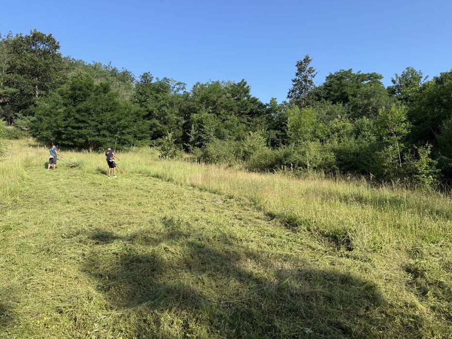 Vand teren Salciua Noua cu autorizatie