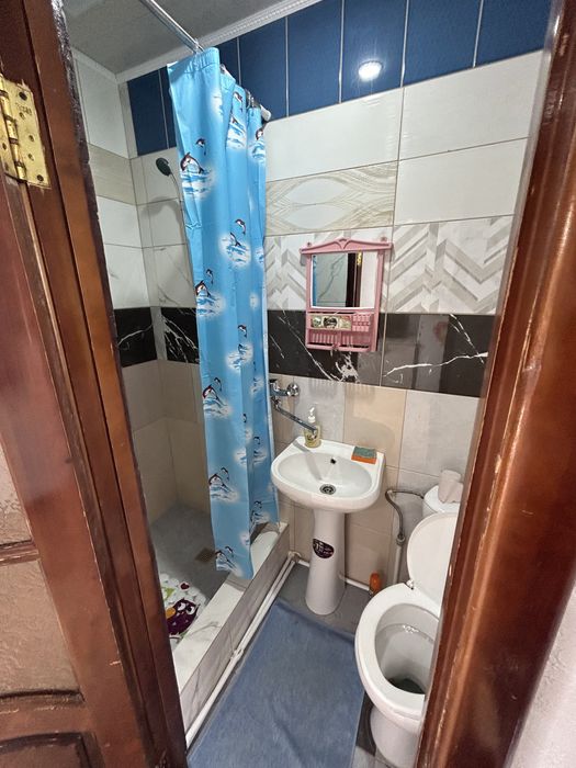 Боровое В центре!!! дом и домики