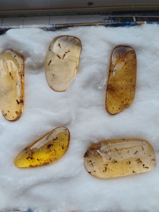 „Lot 5 bucăți copal natural Madagascar cu incluziuni – 30,1 g