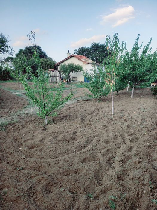 Продава се Къща в Варна, Левски - 25 кв.м за 3360 €/кв.м - Снимка #8