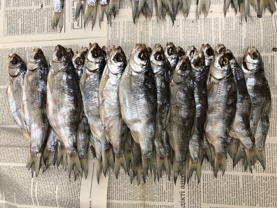Свежая вяленая вобла