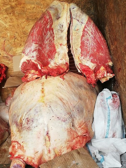 Соғым байталдар сатылады