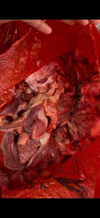 Обрезь с головы (говядина) 700тг-1кг