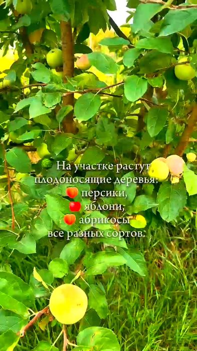 Земельный участок