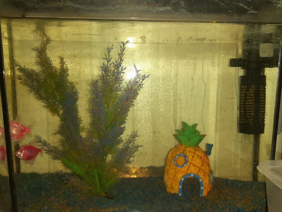 Продам аквариум