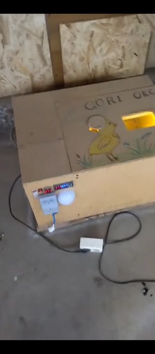 Инкубатор сотилади