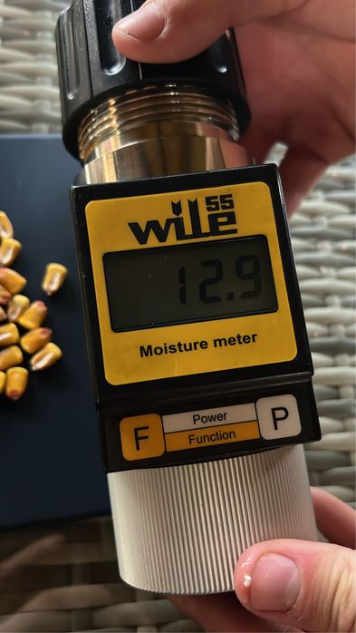 Кукуруза в зерне. 2025 года