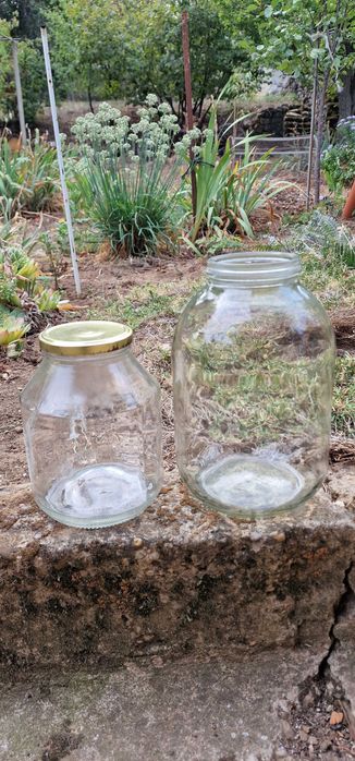 Буркани - 3 и 1.6 литра