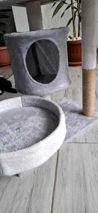 Котешка катерушка