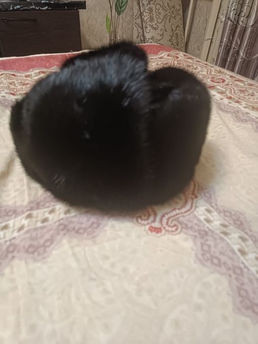 Шапка ушанка мужская