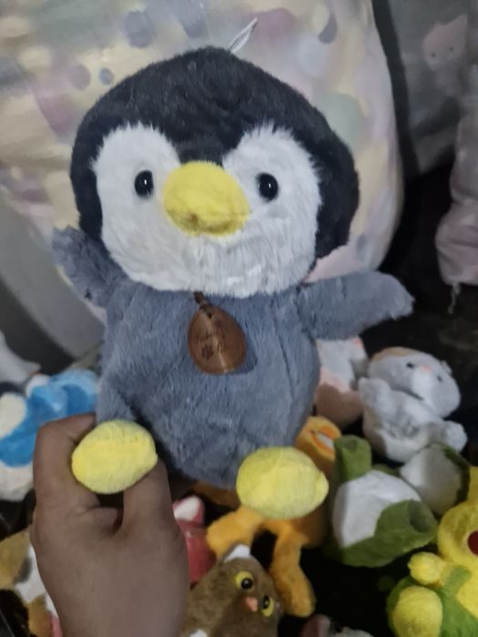 Onchoqlar optim narxda