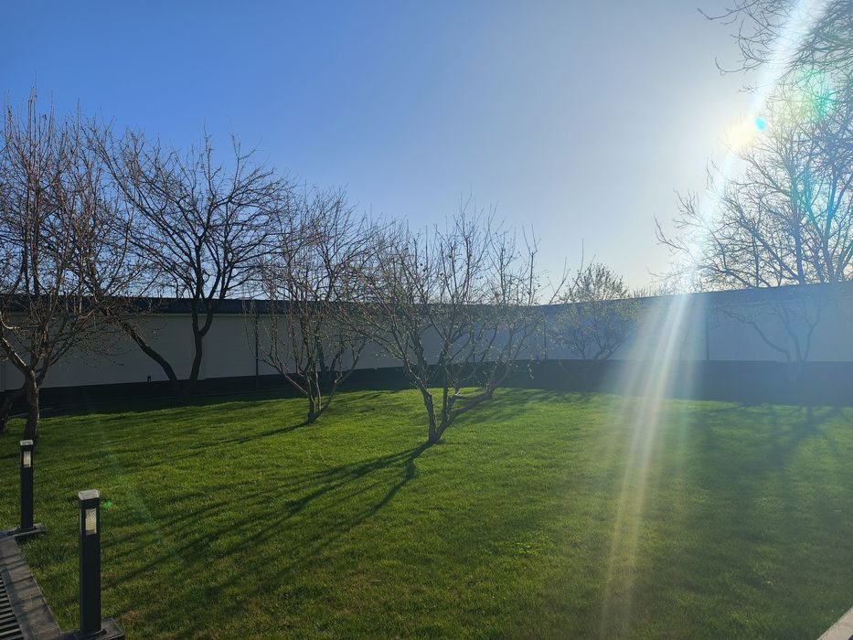 Gul va archa gazon ekish mevali darxtlar  ekish xizmati