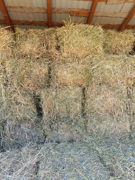Baloți de lucernă