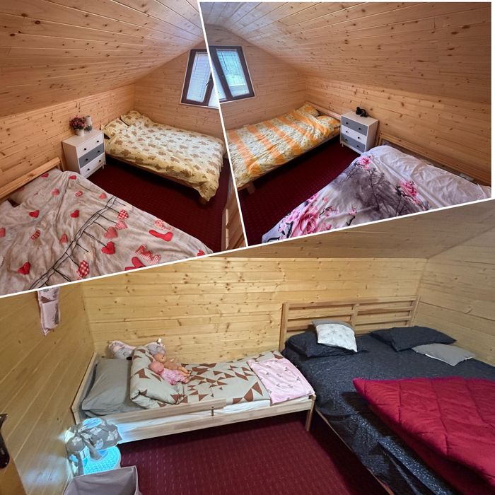 Cabana Miruna de inchiriat la Muntele Rece, Cluj