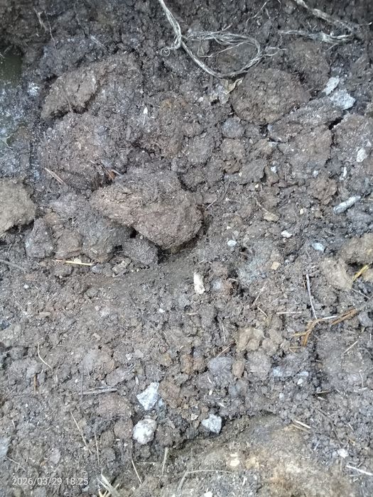 Биогумус сатылады