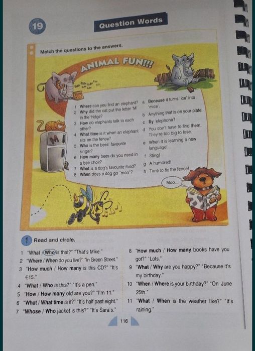 New Round-Up Starter 12 3 4 5 6 Longman Evans Virginia Dooley Jenny