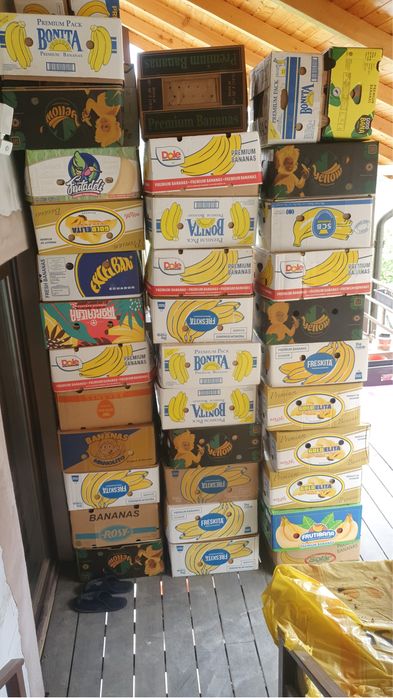 Baxuri cutii de banane noi toate