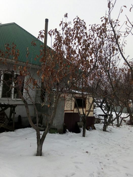 Обрезка плодовых деревьев!