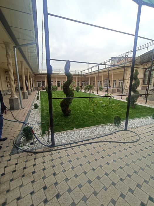 Gazon. Archalar. Landshaft. Gullar