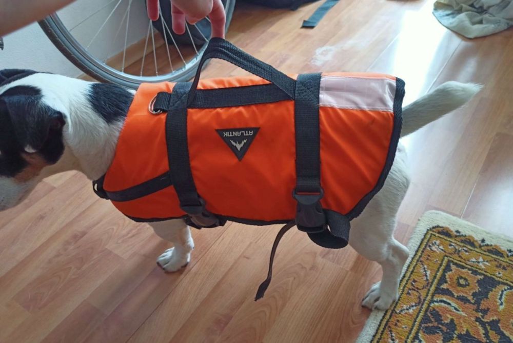 Спасательный жилет для собак, размер М