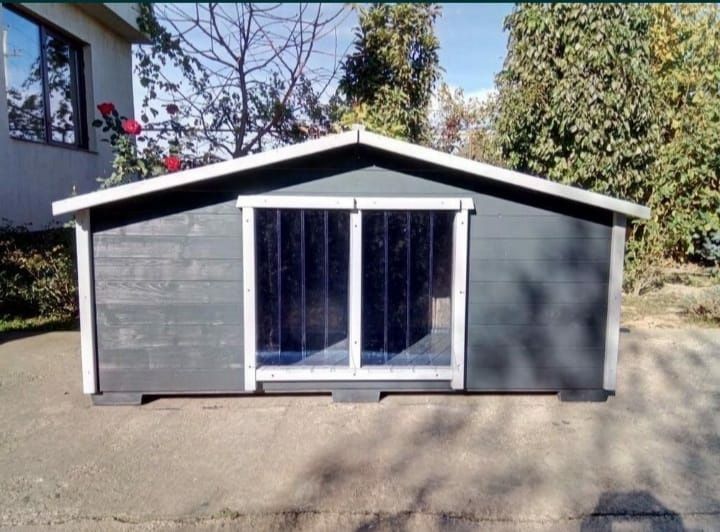 Cusca de caine complet izolata