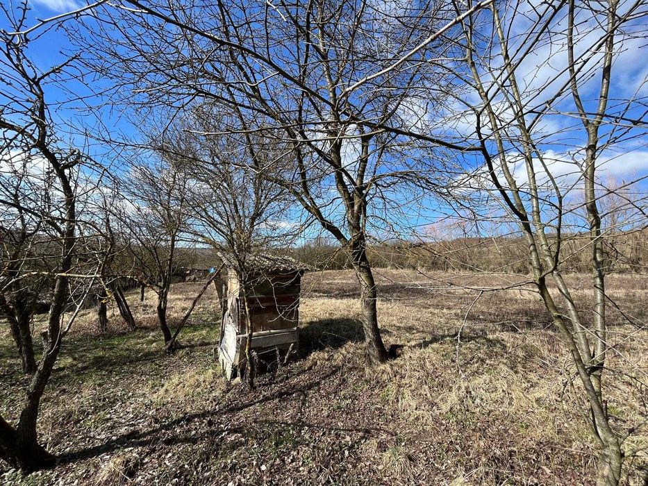 Casa cu Teren Extins – Liniște, Natură și Spațiu Generos