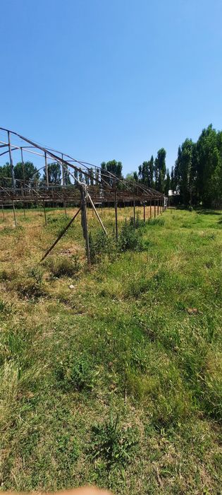 Uchastka sotiladi 20 sotix