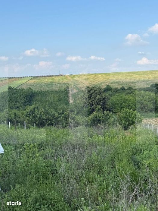 Teren intravilan, 1524mp, Manastirea Doamnei- Botosani