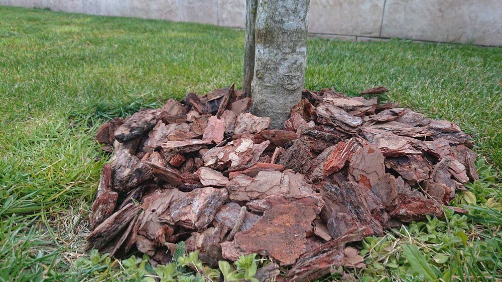 Боров чипс/ боров мулч 10.50Е