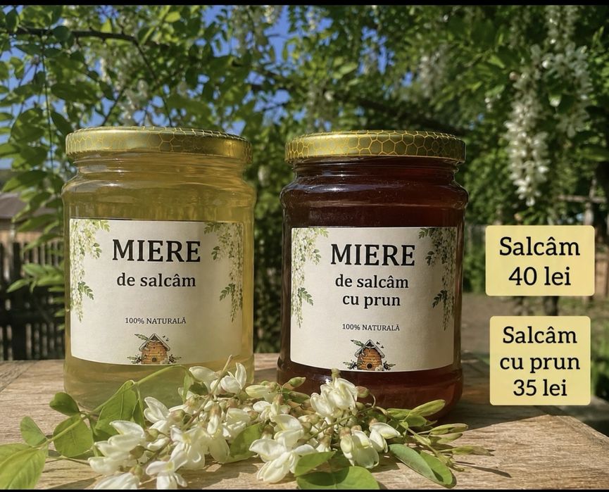 Miere de Salcam si Salcam cu Prun