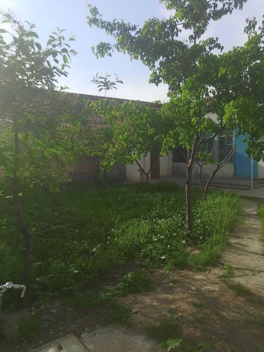 Xovli Sotiladi 3,6  sotxli 3 ta xona va alohida oshxonasi bor