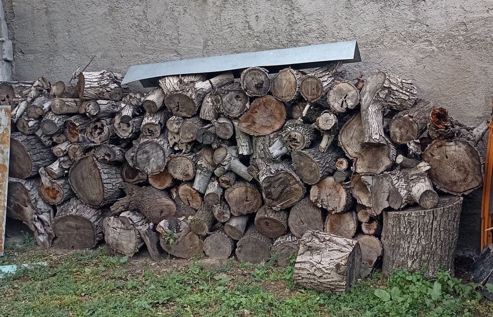 Дрова отын урюк орех