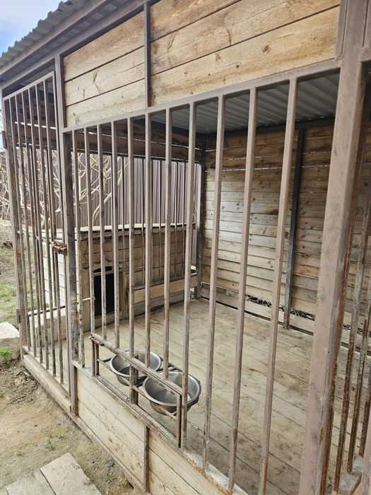 Вольер для собак