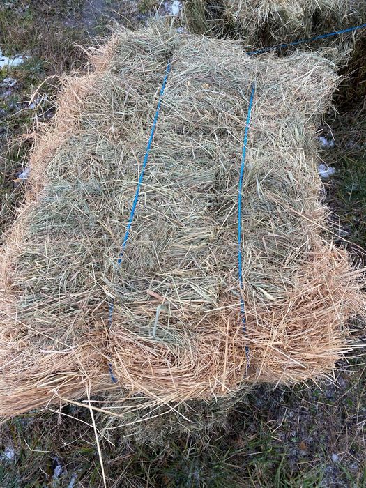 Vand Baloti de fan 18 bucata