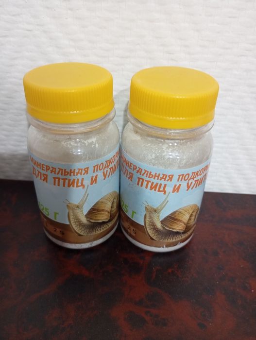 Улитки ахатина..