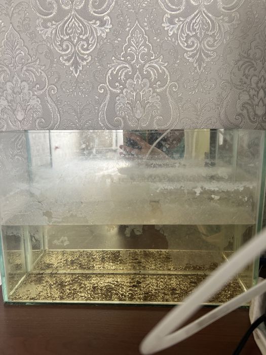 Полностью аквариумы с рыбками