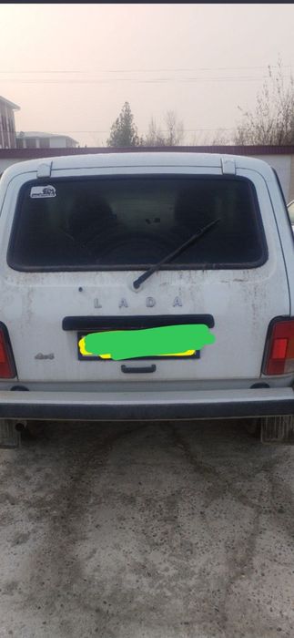 Niva xolati alo darajada