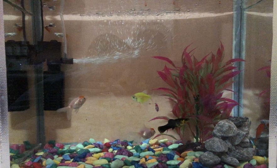 Продам аквариум 24литра