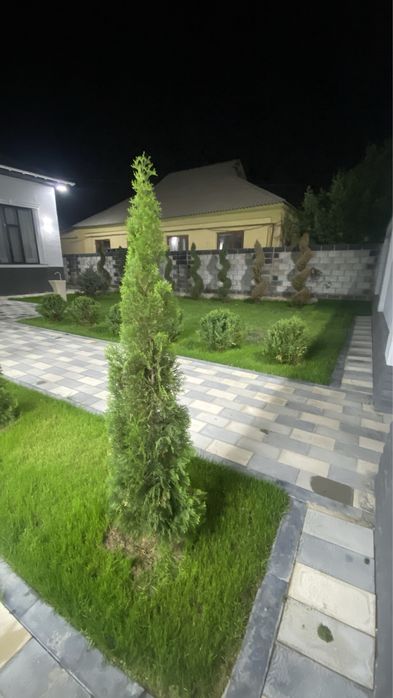 Газон Автополив Газон Полив