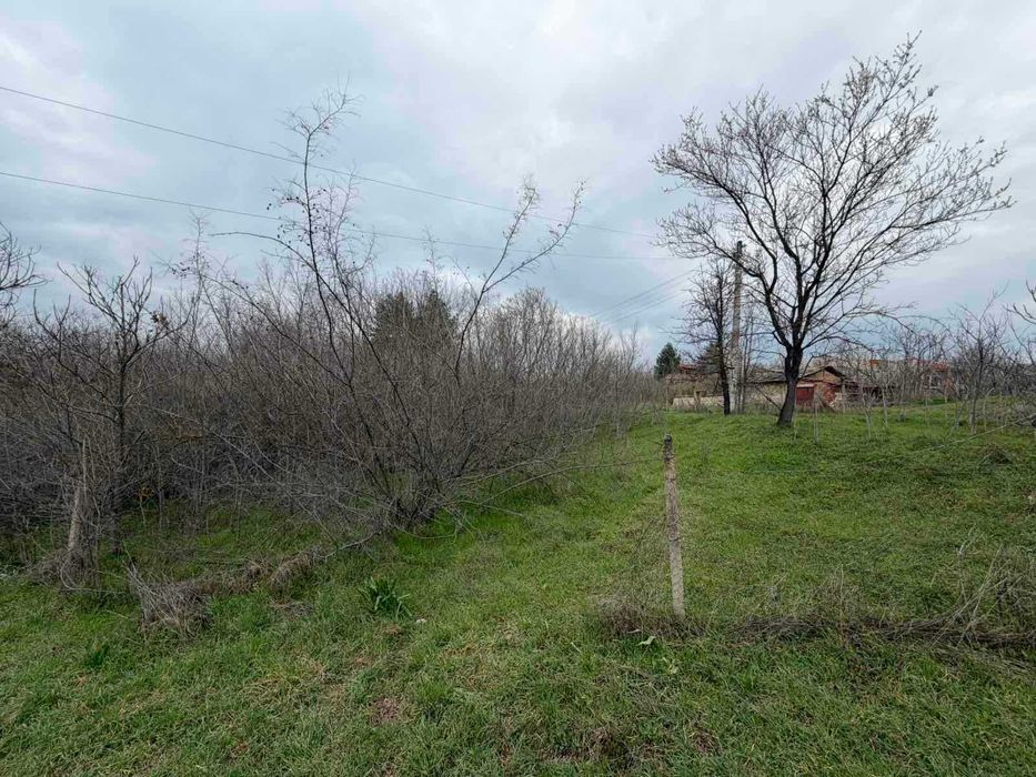 Продава се Парцел в с. Братя Даскалови, Област Стара Загора - 1150 кв.м за 4 €/кв.м - Снимка #6