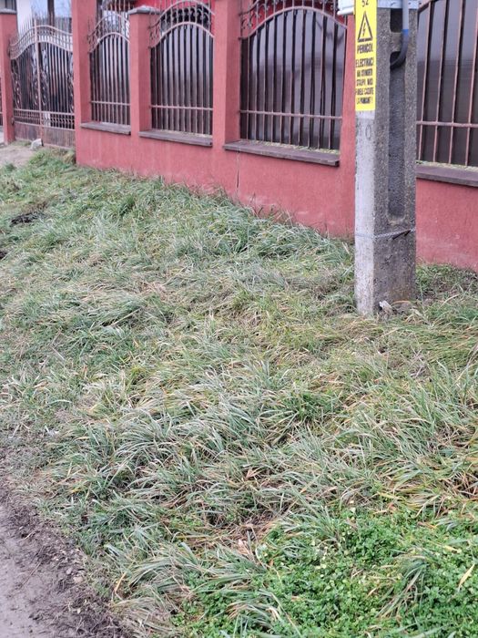 Teren intravilan Stauceni 6km de botosani