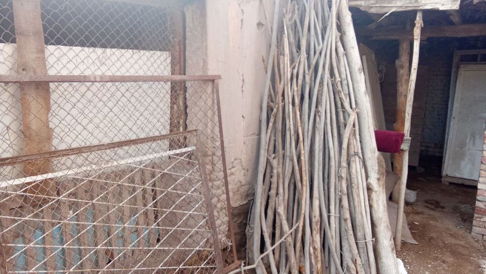 Ag'ash shop qada satiladi