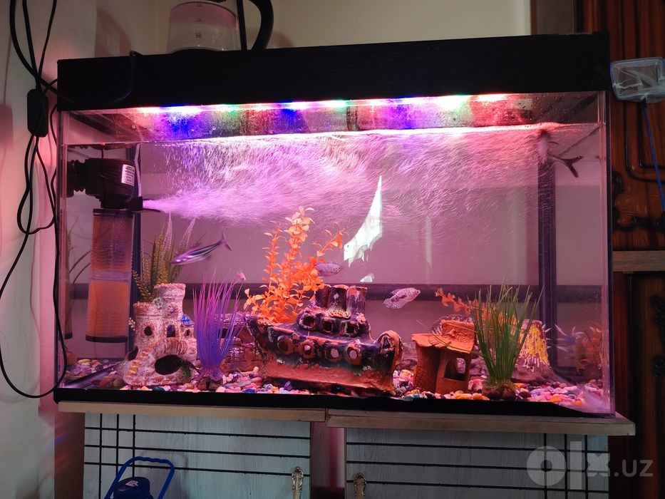 Akvarium sotiladi