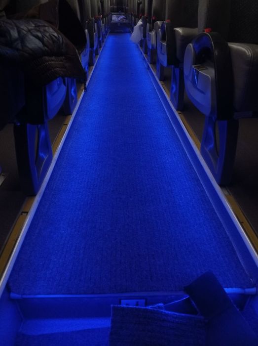 Зонгтонг сотилади