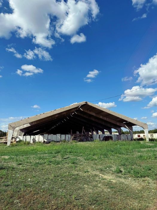 Продам Крестьянское хозяйство