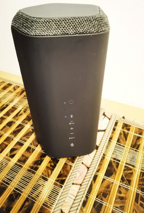 Boxa Sony SRS-XE 300