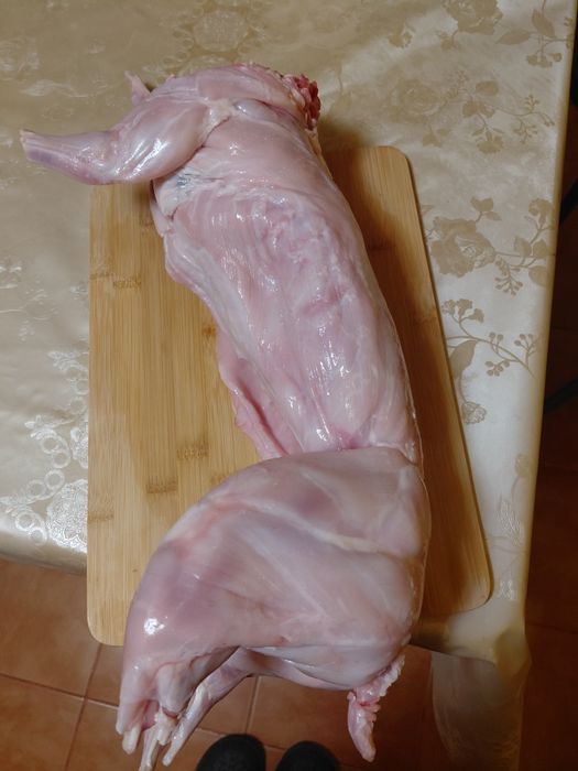 iepuri rasa berbec german