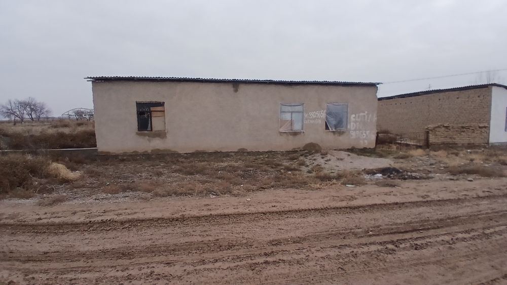 Xovli sotiladi 100mln sum