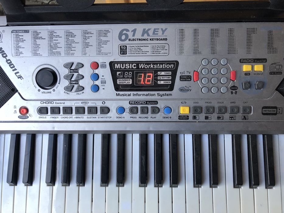 orga electronica